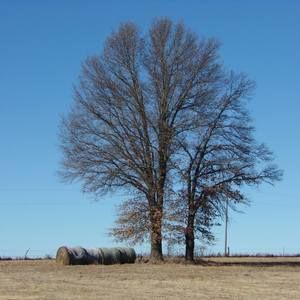 Meet your Posher, Sherry